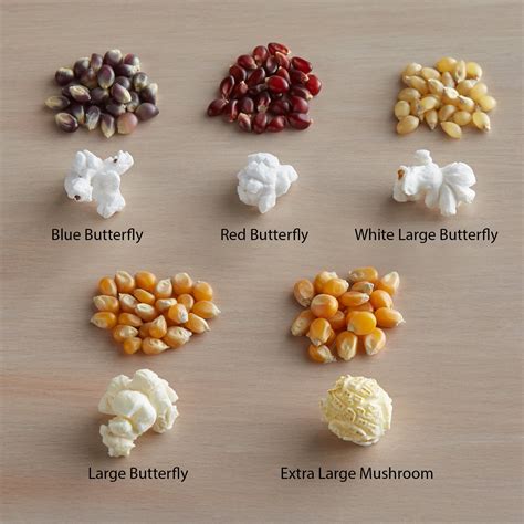 50 lb. Bulk Bag Mushroom Popcorn Kernels: Shop Wholesale!