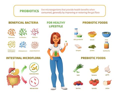 Which Probiotic Foods Are Good for Gut health?