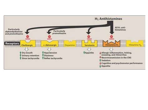 Histamine and antihistaminics