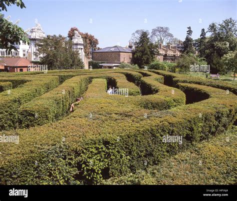 Hampton court maze hi-res stock photography and images - Alamy