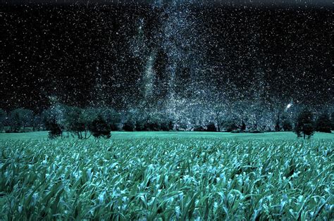 Corn Field at Night Digital Art by William Bader - Pixels