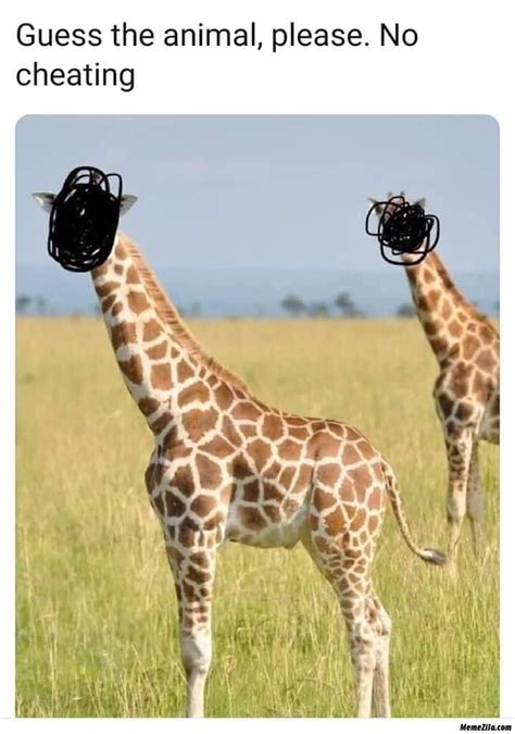 Guess the animal Giraffe meme - MemeZila.com | Animals, Giraffe ...