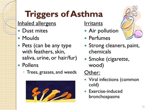 PPT - ASTHMA and ALLERGIES PowerPoint Presentation, free download - ID ...