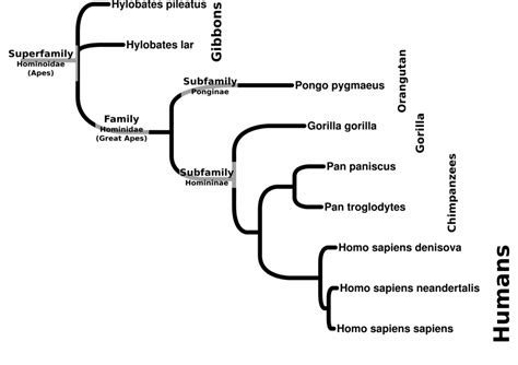 12.1: Introduction - Biology LibreTexts