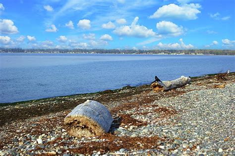 Birch Bay Beach Day Photograph by Vernon Platt - Fine Art America