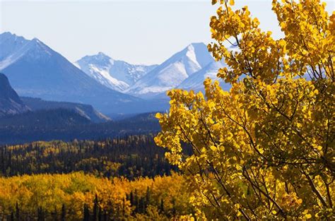 In Alaska, Fiery Fall Foliage is a Breathtaking Contrast to Snow-Capped ...