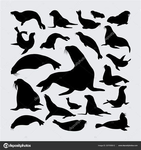 Sea Lion Silhouette Set Sea Lion Silhouettes Stock Vector by ©nurakenza ...