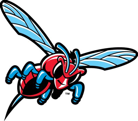 Delaware State Hornets Misc Logo - NCAA Division I (d-h) (NCAA d-h) - Chris Creamer's Sports ...