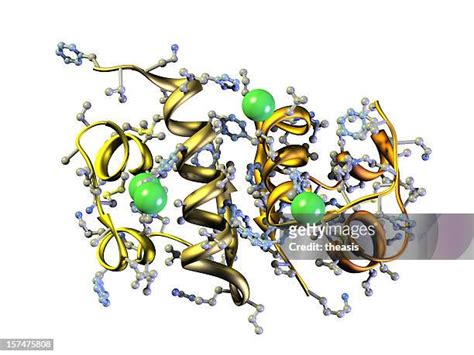 38,362 Protein Structure Stock Photos, High-Res Pictures, and Images - Getty Images