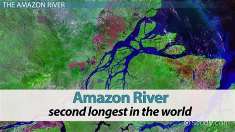 The Amazon River: Location, Special Features & Facts - Video & Lesson Transcript | Study.com