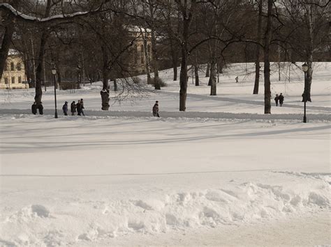 people are walking in the snow near some trees