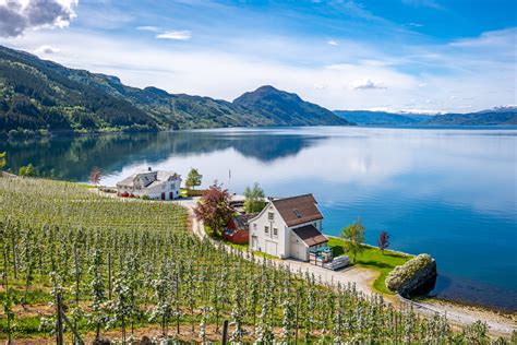 Hardangerfjord Cruise between Bergen and Eidjord | Go Fjords