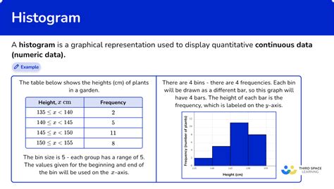 Histogram - Math Steps, Examples & Questions