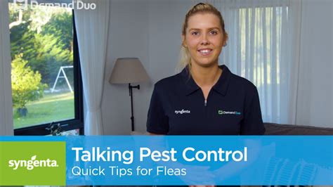 Talking Pest Control: Quick Tips for Flea Control | Syngenta PPM