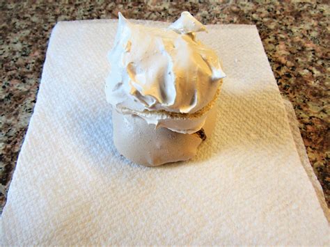 Astronaut Ice Cream : 8 Steps - Instructables