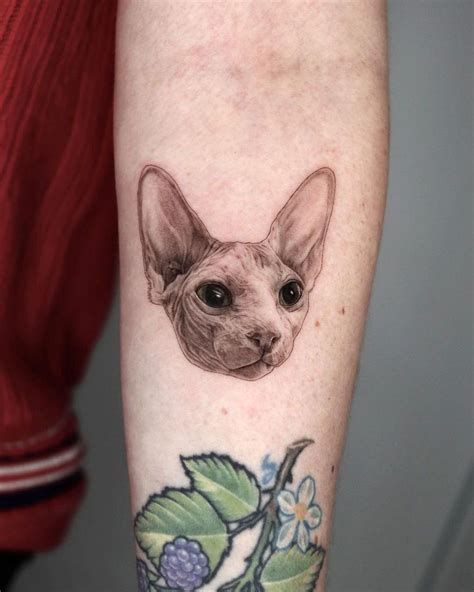 Sphynx Tattoo - Sphynx Tattoos - Sphynx Drawings - Cat Tattoo | Bheppo | Cat tattoo, Sphynx cat ...