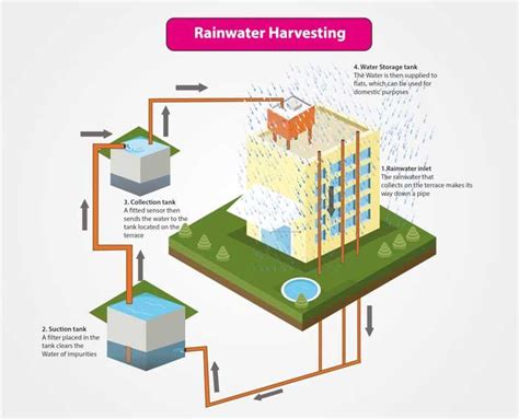 rainwater harvesting