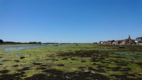 Bosham Harbour | Photo