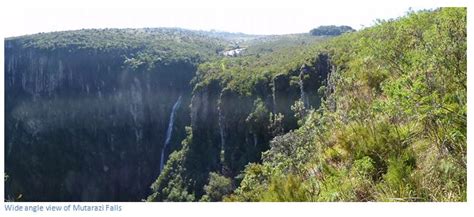 Mutarazi Falls National Park | Zimbabwe Field Guide