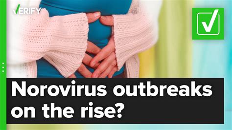 Fact-checking if norovirus outbreaks have increased in the U.S. | verifythis.com