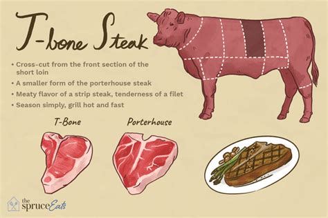 What Is T-bone Steak?