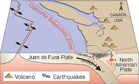 New Research, Maps Highlight Need For Earthquake And Tsunami Prep | NW News Network