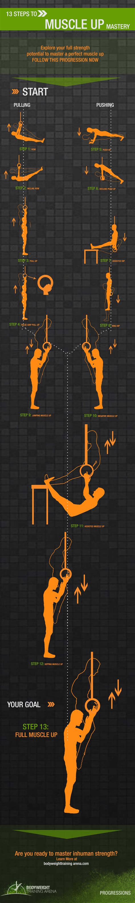 Muscle Up Progression Bodyweight Training Arena