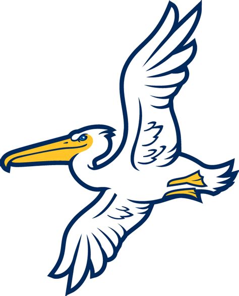 The Scoop on Myrtle Beach: The Story Behind the Pelicans – SportsLogos ...