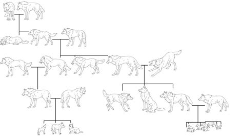 Wolf family Tree lineart (TheSodaSmuggler) by bella50224 on DeviantArt