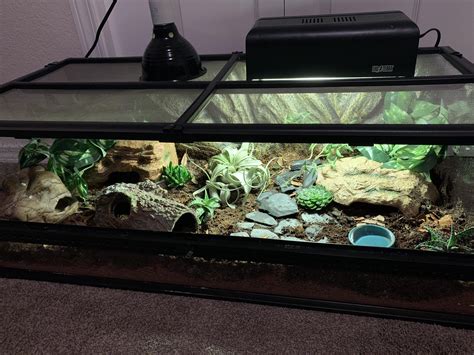 New Bioactive setup for mochi (leopard gecko)! I knew I wanted to improve my enclosures so I ...