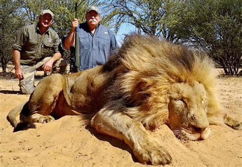 Trophy Hunting – A very British contribution - Animal Charity - Animal Welfare Organisation ...