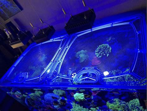 Aquarium Lids - Aquariums & Sumps