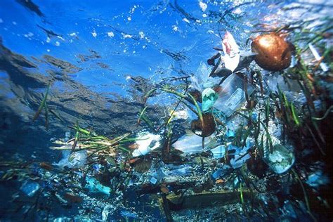 America Revealed: Plastic Ocean