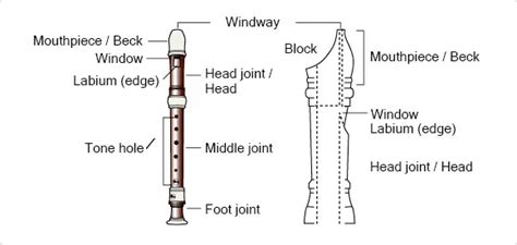 Parts Of A Recorder Explained – Dynamic Music Room