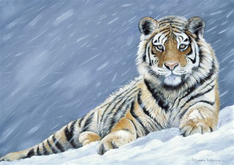 Land of the Snow Tiger - Pollyanna Pickering