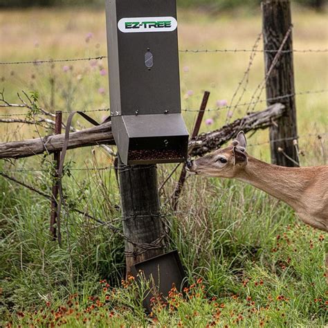 EZ Tree-Mounted Deer Feeder for Rice Bran, Corn, & More – All Seasons Feeders