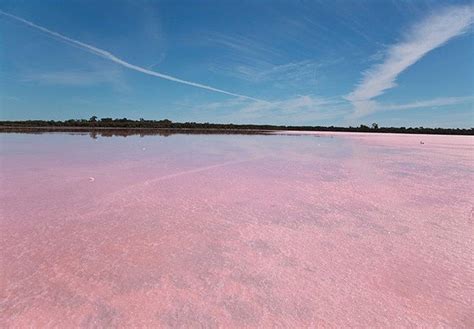 Senegal Lake Retba / Lake retba senegal | less than an hour away from the ... : The name of the ...