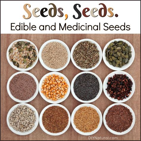 Edible and Medicinal Seeds? 10 Seeds You Can and Should Eat | Edible seeds, Healthy seeds, Food