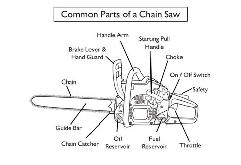 How to Buy a Chain Saw | How to articles