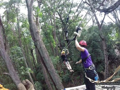 Kohala Zipline - Savor the Moment Photography