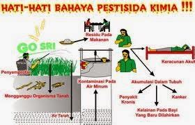 Penggunaan Pestisida Alami pada Tanaman | Teknologi Tepat Guna