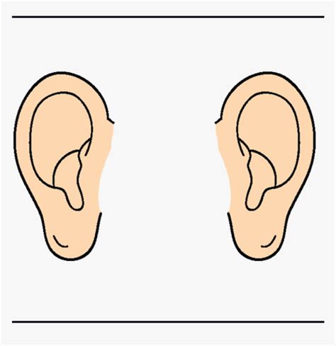 Ear Panda Free Images Ears Clipart Transparent Png - Pairs Of Ears ...