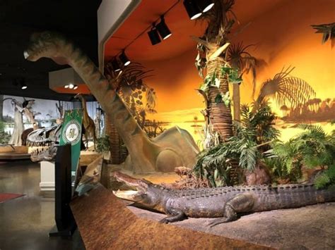 Fernbank Science Center & Planetarium in Atlanta, Georgia - have-kids ...