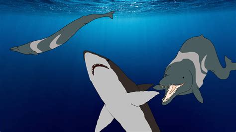 Basilosaurus Vs Megalodon