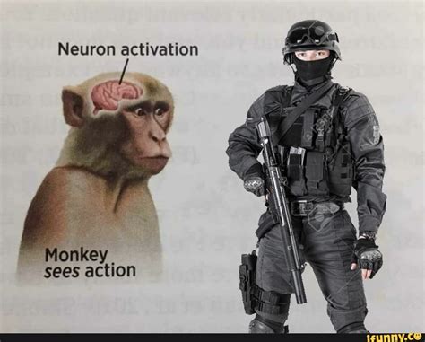 Monkey Neuron Activation Meme Template