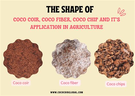 Coco Coir for Planting - Different Types and Uses of Coco Coir