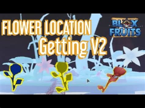 ALL FLOWERS LOCATIONS | GETTING RACE V2 - YouTube