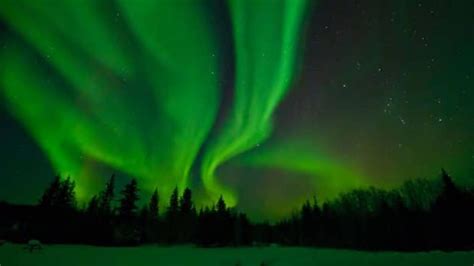 Wood Buffalo park now world’s largest dark sky preserve | CBC News