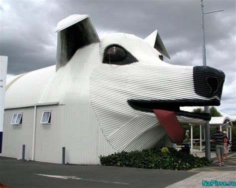 15 Interesting and Unusual Houses to Live In - Top Dreamer