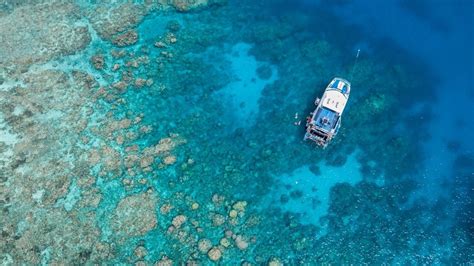 Great Barrier Reef Tours Cairns